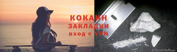 сатива Аркадак